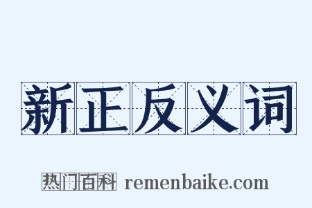 新正反义词是什么意思的图片